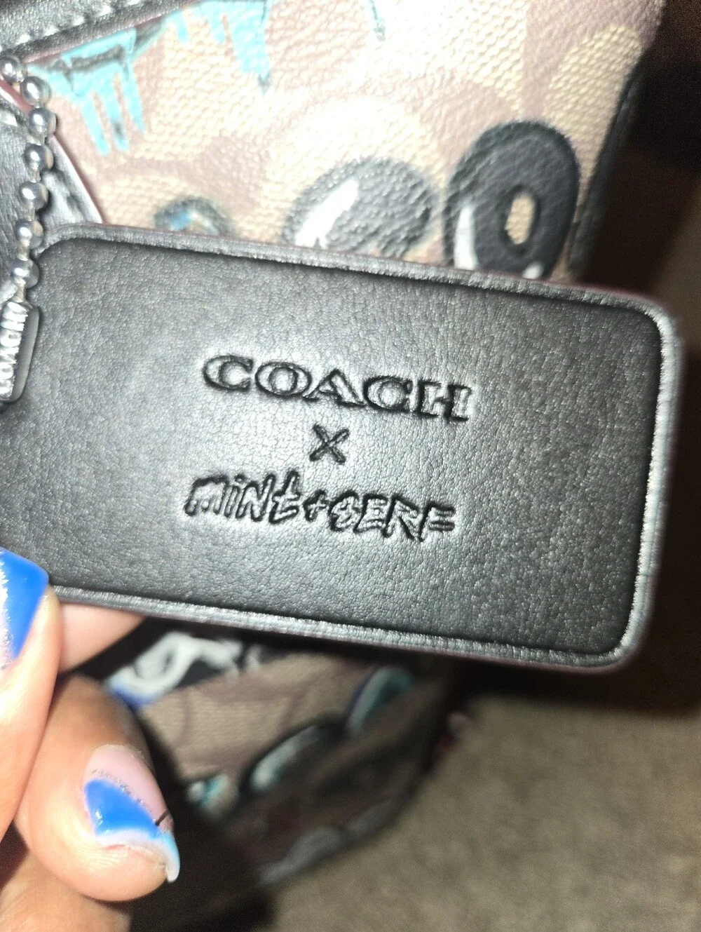 Coach x Mint + Serf City Tote Bag & Wallet